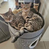 Photo of Mia And Frankie 