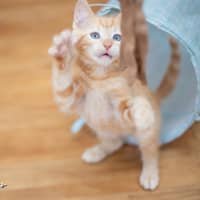 Photo of Rowdy