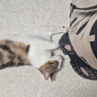 Photo of April (9172)