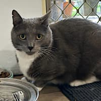 Photo of Winston