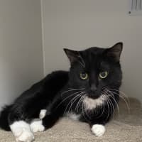 Photo of Clemmy