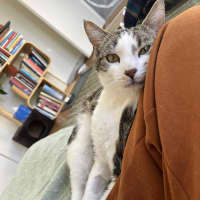 Photo of Fred   In Foster Care In Northcote