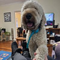 Photo of Charlie