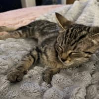 Photo of Boo Boo