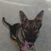 Photo of Spirit (Was Plum)