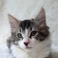 Photo of Charlotte
