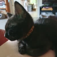 Photo of Zippy
