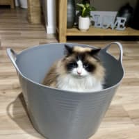Photo of Sissi