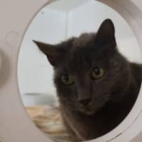 Photo of Ethel