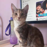 Photo of Twix