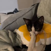 Photo of Rikku