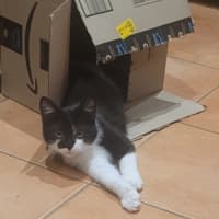 Photo of 💕 Atlas 💕