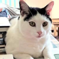 Photo of Buddy