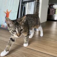 Photo of Molly