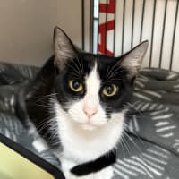 Photo of Sprout
