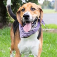 Photo of Lola Wilberforce