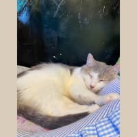 Photo of Mr. Baby