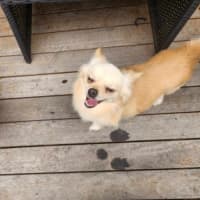 Photo of Reeba And Allan 