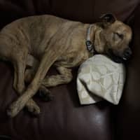 Photo of Tones