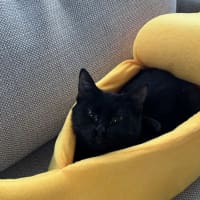 Photo of Maddy