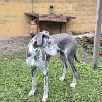 Photo of Sheila