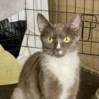 Photo of Edwina & Trixie