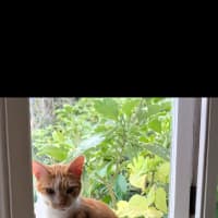 Photo of Sunny