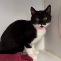 Photo of Kiki