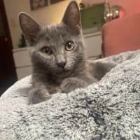 Photo of Chloe