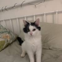 Photo of Selina