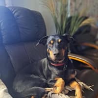 Photo of Leroy