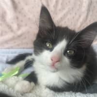 Photo of Bear Sanderson