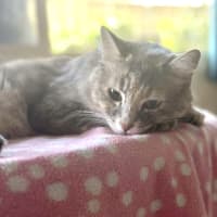 Photo of Astrid