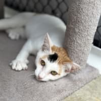 Photo of Lilly