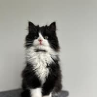 Photo of Esme