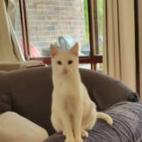 Photo of Skye
