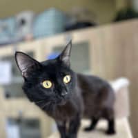 Photo of 🥛 Chia 5793 🥛