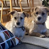 Photo of Baklava & Eclair 