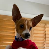 Photo of Pablo