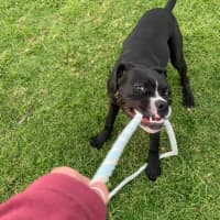 Photo of Harken