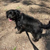 Photo of Tommy Allbright