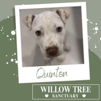 Photo of Quinton