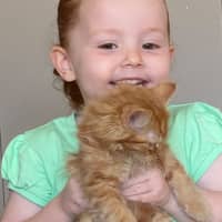 Photo of Oliver. Meet Me At Pet Stock Chelsea