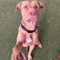 Photo of Tookie 