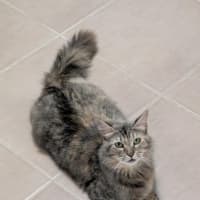 Photo of Queenie♥️