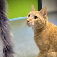 Photo of Sebastian