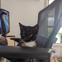 Photo of Miss Marple