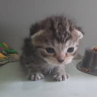 Photo of Teddy