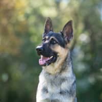 Photo of Storm