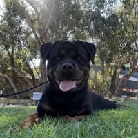 Photo of Mara